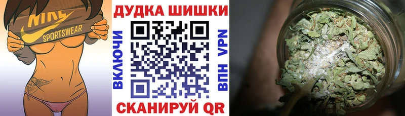 где найти наркотики  Сортавала  Шишки марихуана гибрид 